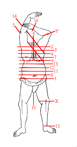 Sword Cuts Diagram